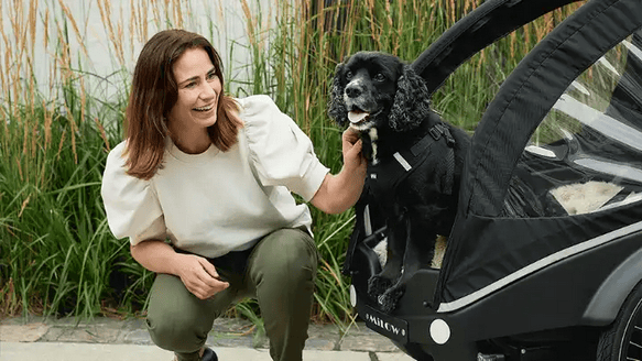 Lastenrad und Hund